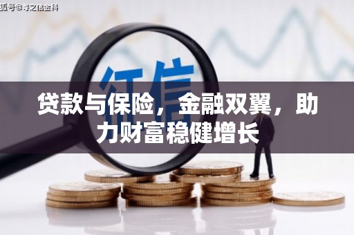 苑里贷款与保险，金融双翼，助力财富稳健增长