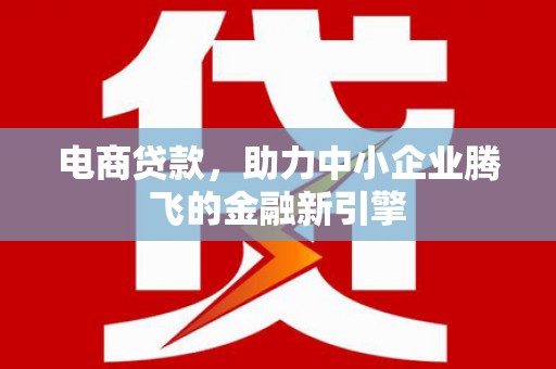 苑里电商贷款，助力中小企业腾飞的金融新引擎