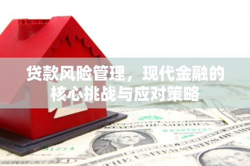 苑里贷款风险管理，现代金融的核心挑战与应对策略