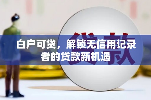 苑里白户可贷，解锁无信用记录者的贷款新机遇
