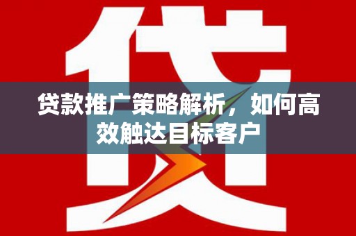 苑里贷款推广策略解析，如何高效触达目标客户
