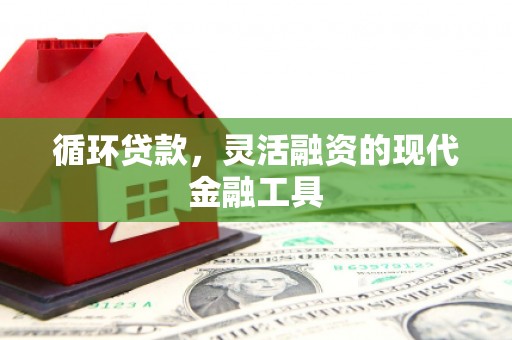 苑里循环贷款，灵活融资的现代金融工具