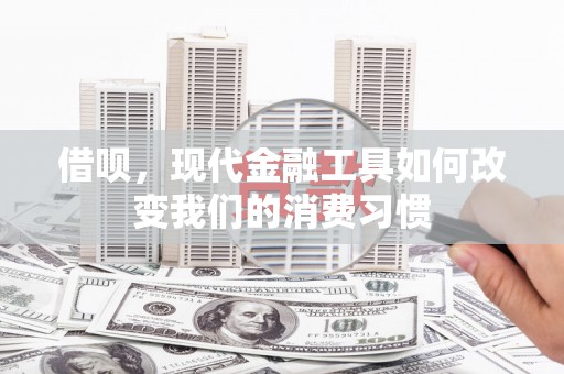 苑里借呗，现代金融工具如何改变我们的消费习惯