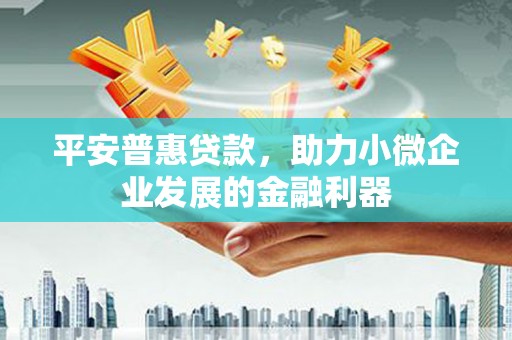 苑里平安普惠贷款，助力小微企业发展的金融利器