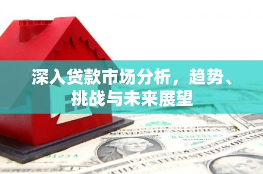 苑里深入贷款市场分析，趋势、挑战与未来展望