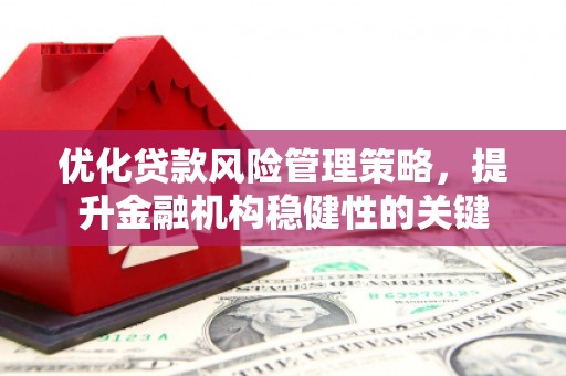 苑里优化贷款风险管理策略，提升金融机构稳健性的关键