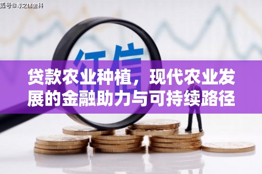 苑里贷款农业种植，现代农业发展的金融助力与可持续路径