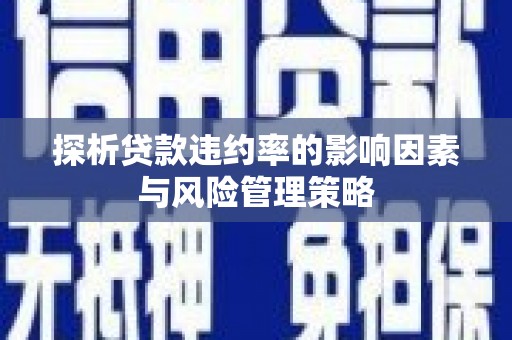 苑里探析贷款违约率的影响因素与风险管理策略