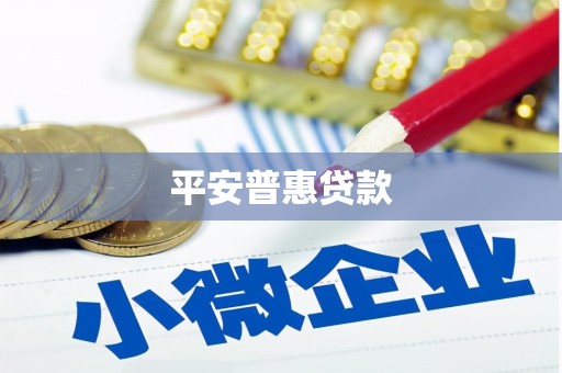 苑里平安普惠贷款