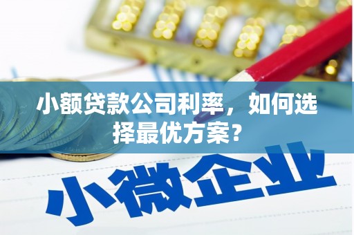 苑里小额贷款公司利率，如何选择最优方案？