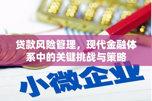 苑里贷款风险管理，现代金融体系中的关键挑战与策略