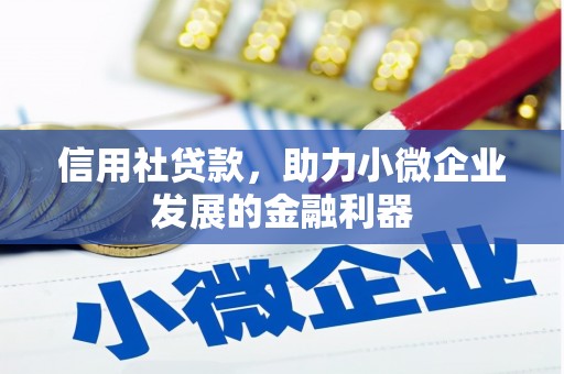 苑里信用社贷款，助力小微企业发展的金融利器