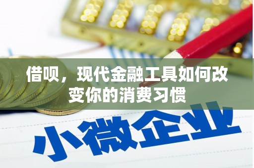苑里借呗，现代金融工具如何改变你的消费习惯