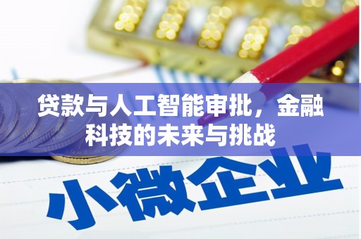 苑里贷款与人工智能审批，金融科技的未来与挑战