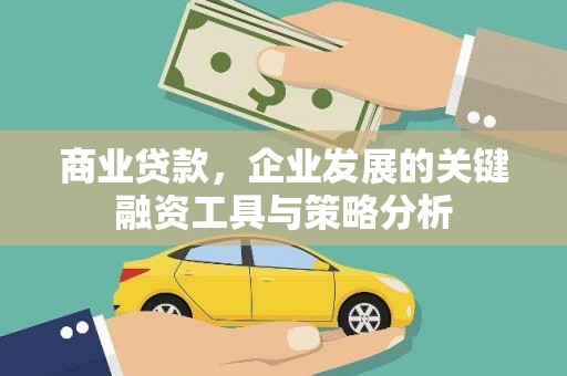 苑里商业贷款，企业发展的关键融资工具与策略分析