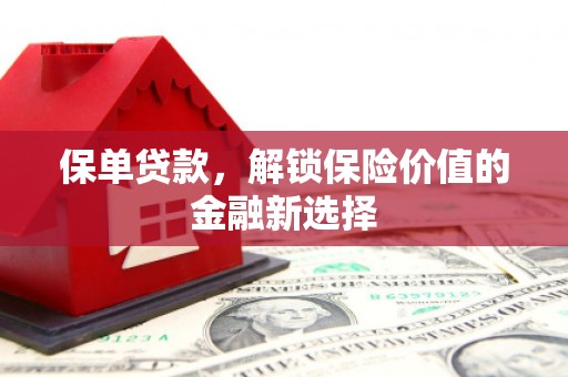 苑里保单贷款，解锁保险价值的金融新选择
