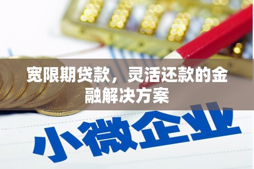 苑里宽限期贷款，灵活还款的金融解决方案