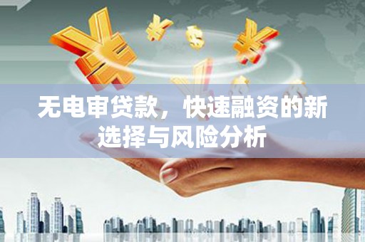 苑里无电审贷款，快速融资的新选择与风险分析