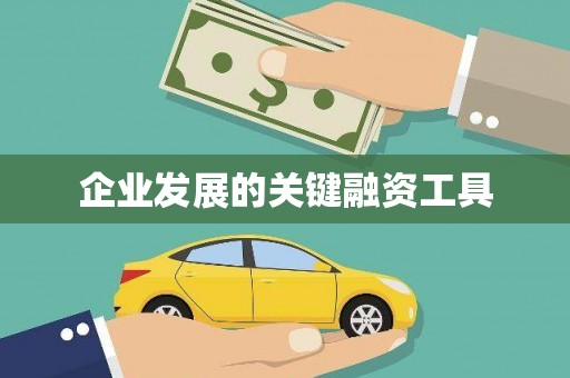 苑里企业发展的关键融资工具