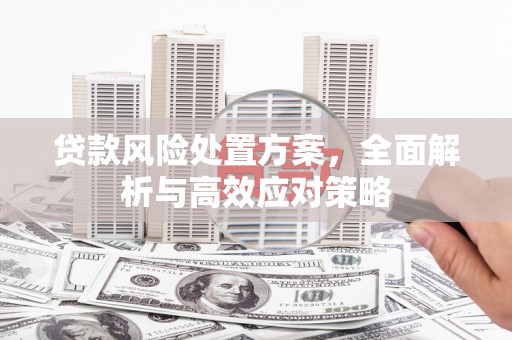 苑里贷款风险处置方案，全面解析与高效应对策略