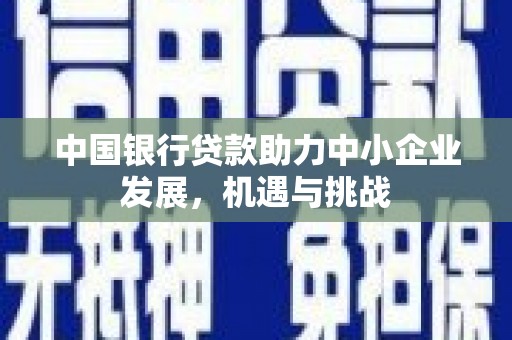 苑里中国银行贷款助力中小企业发展，机遇与挑战