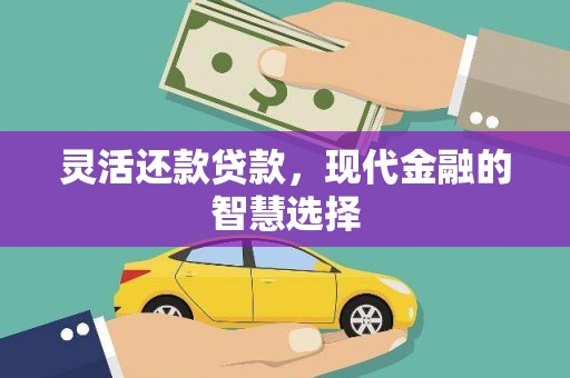 苑里灵活还款贷款，现代金融的智慧选择