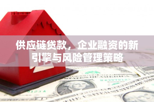 苑里供应链贷款，企业融资的新引擎与风险管理策略