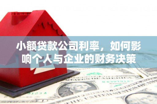 苑里小额贷款公司利率，如何影响个人与企业的财务决策