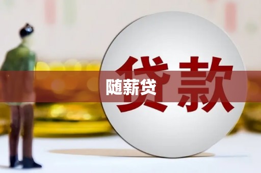 苑里随薪贷