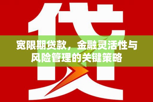 苑里宽限期贷款，金融灵活性与风险管理的关键策略