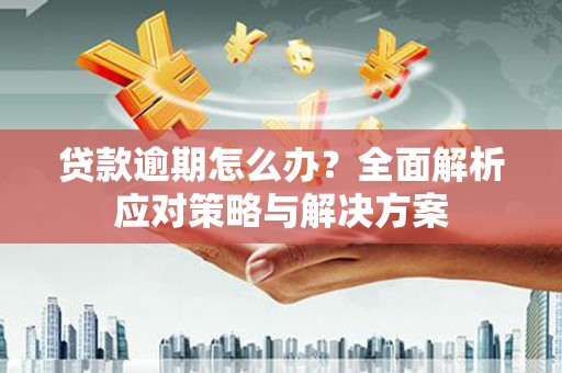 苑里贷款逾期怎么办？全面解析应对策略与解决方案