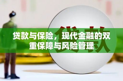 苑里贷款与保险，现代金融的双重保障与风险管理