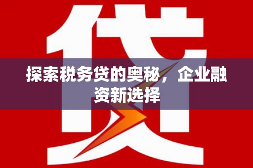 苑里探索税务贷的奥秘，企业融资新选择