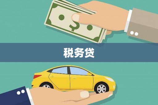 苑里税务贷