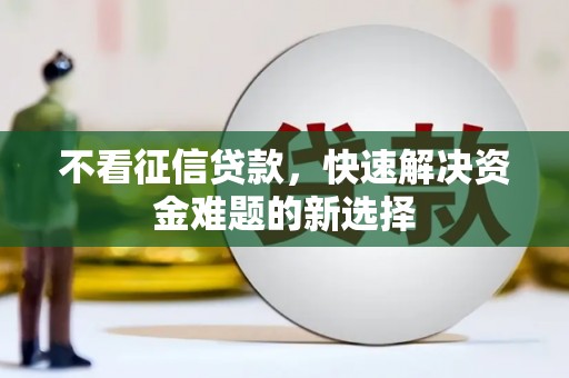 苑里不看征信贷款，快速解决资金难题的新选择