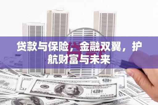 苑里贷款与保险，金融双翼，护航财富与未来