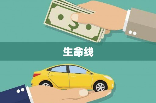 苑里生命线