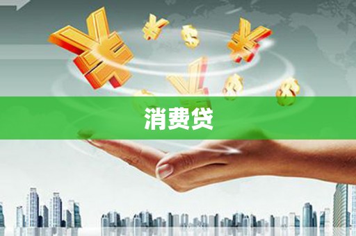 苑里消费贷