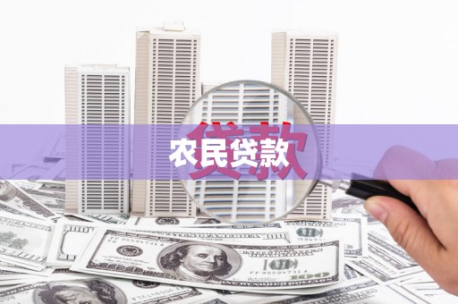 苑里农民贷款