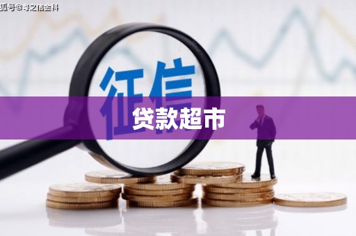 苑里贷款超市