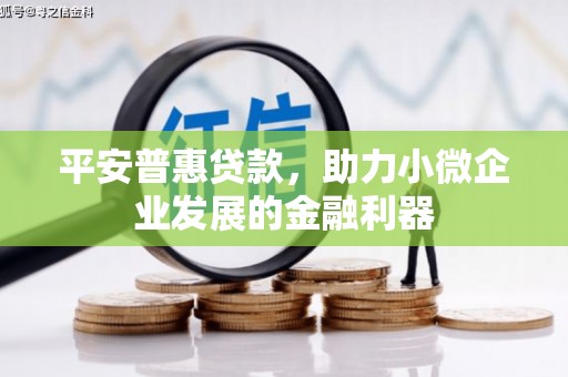 苑里平安普惠贷款，助力小微企业发展的金融利器