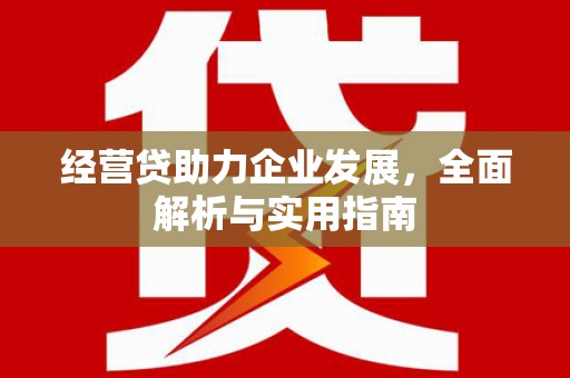 苑里经营贷助力企业发展，全面解析与实用指南