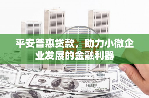 苑里平安普惠贷款，助力小微企业发展的金融利器