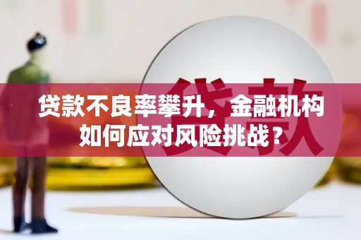 苑里贷款不良率攀升，金融机构如何应对风险挑战？