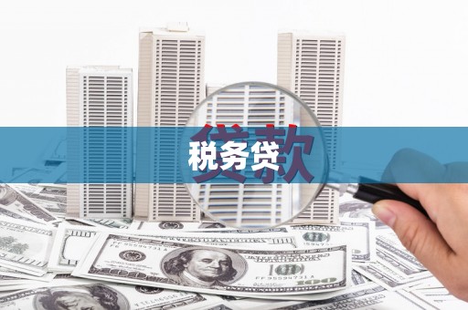 苑里税务贷