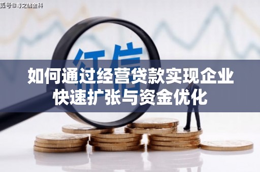 苑里如何通过经营贷款实现企业快速扩张与资金优化