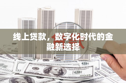苑里线上贷款，数字化时代的金融新选择