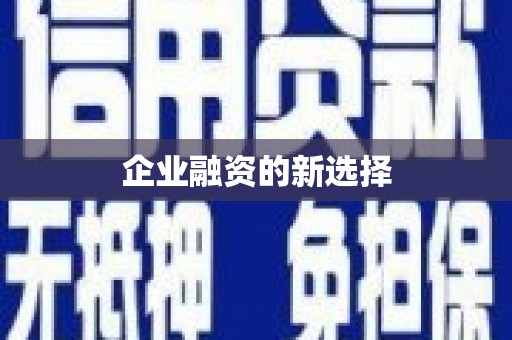苑里企业融资的新选择
