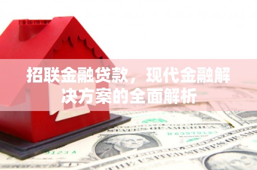 苑里招联金融贷款，现代金融解决方案的全面解析