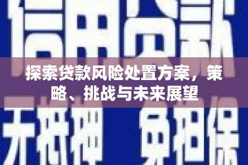 苑里探索贷款风险处置方案，策略、挑战与未来展望